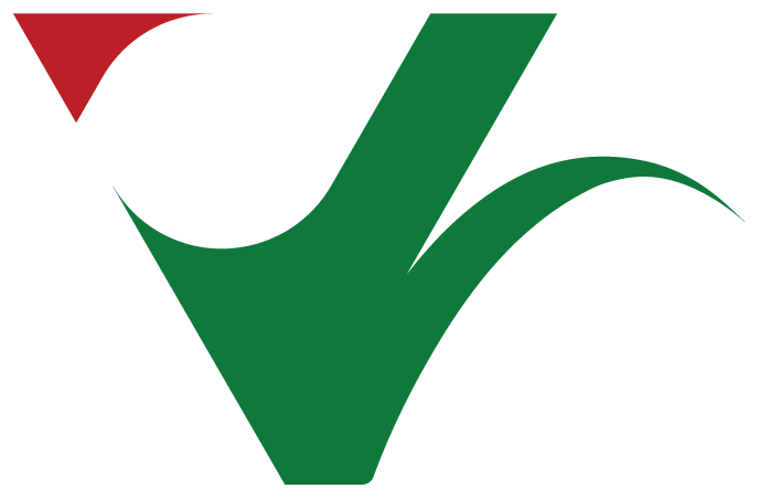 vistoraeg.com